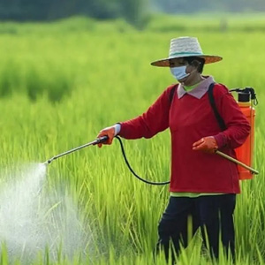 About AgriBird India Spray Gun at Jamnagar