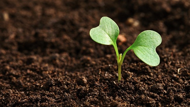 Core Values of AgriBird India in Spray Gun Agriculture