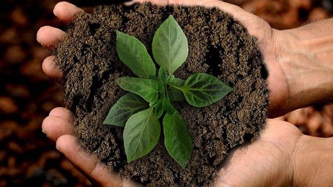 Mission of AgriBird India in Spray Gun Agriculture